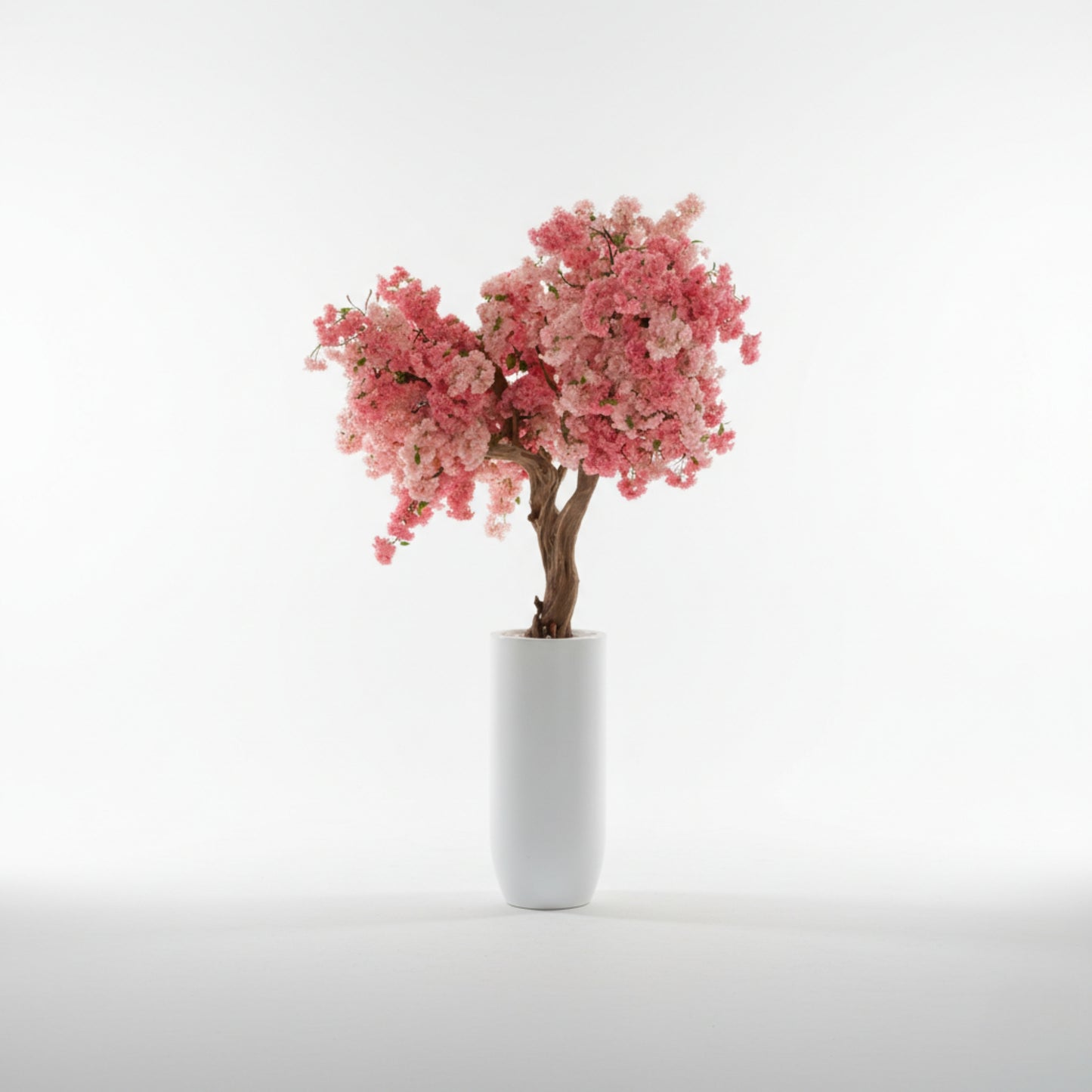 Cherry Blossom Tree
