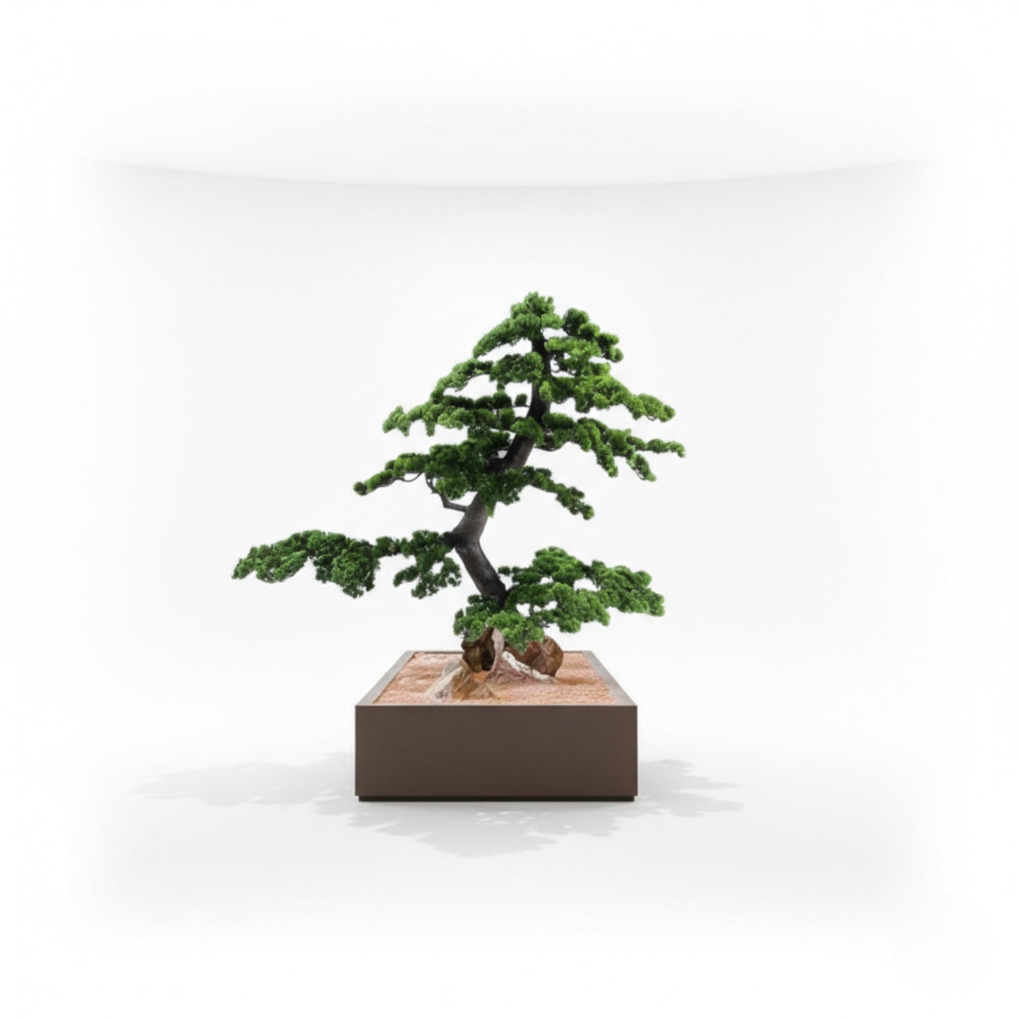 Bonsai