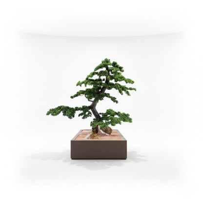 Bonsai