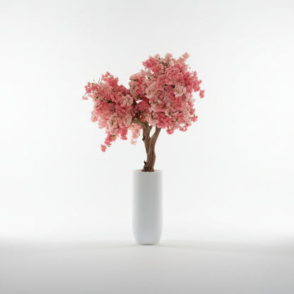 Cherry Blossom Tree