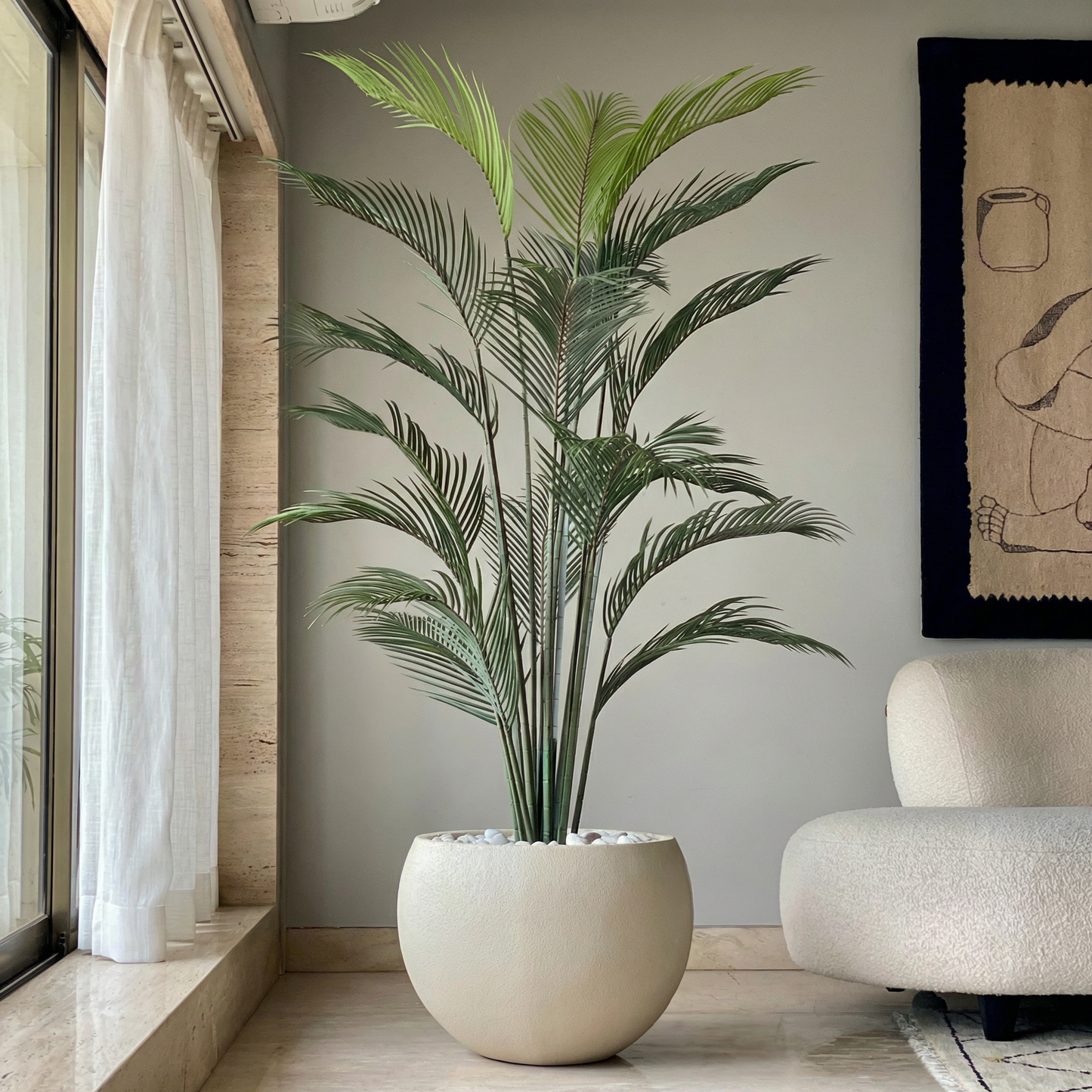 Areca Palm