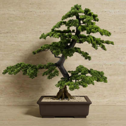 Bonsai